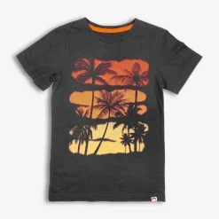 Appaman Graphic Tees-Graphic Tee Palms